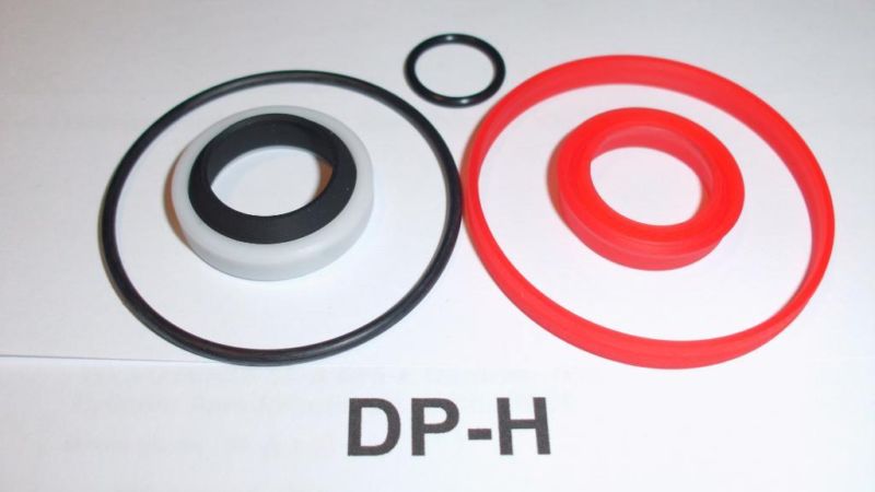 DP-H-dichtungssatz